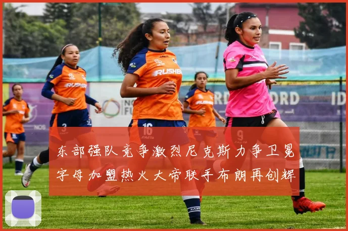 东部强队竞争激烈尼克斯力争卫冕字母加盟热火大帝联手布朗再创辉煌